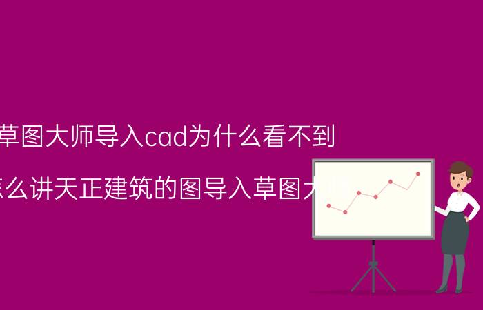 草图大师导入cad为什么看不到 怎么讲天正建筑的图导入草图大师？